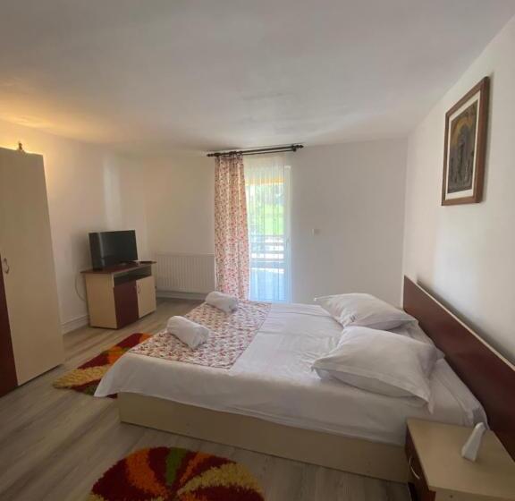 Номер Стандарт с Балконом, Pensiunea Mary