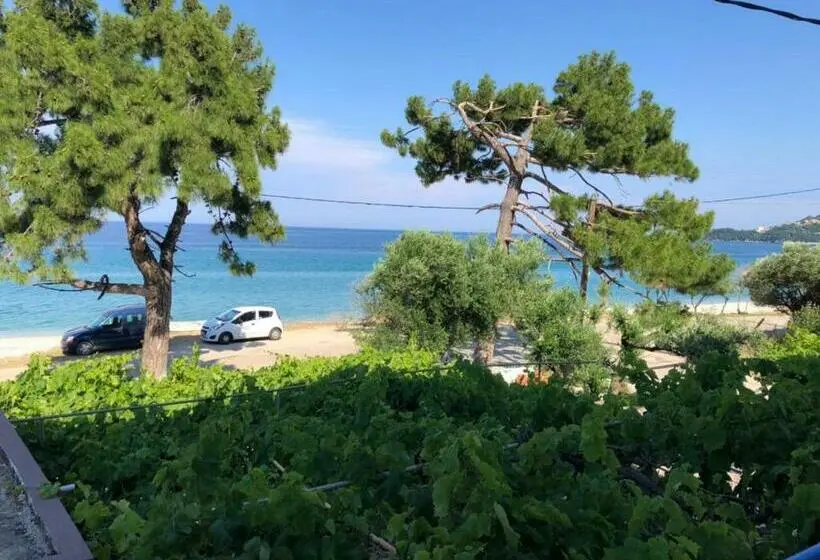 海の見えるスタンダードスタジオ, Akrogiali Studios