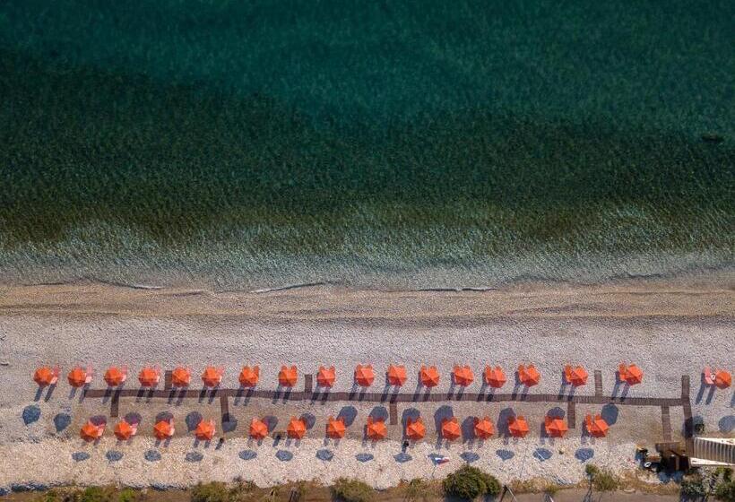 Студия Стандарт Вид на Море, Akrogiali Studios