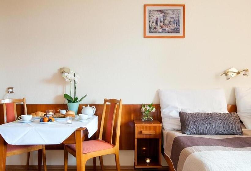 إستديو قياسى مزود بشرفة, Apartman