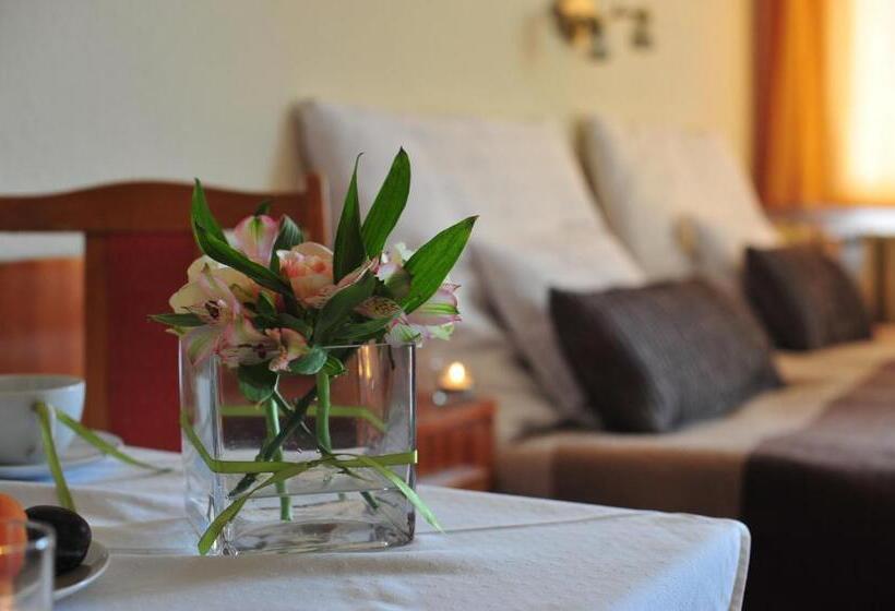 إستديو قياسى مزود بشرفة, Apartman