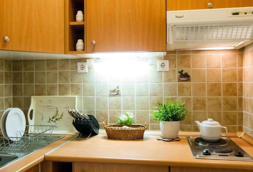 شقة غرفة نوم واحدة مزودة بشُرفة, Apartman