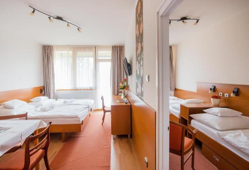 إستديو عائلى, Apartman