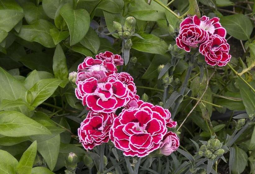 Quarto standard, Boutique Hoces Del Duraton