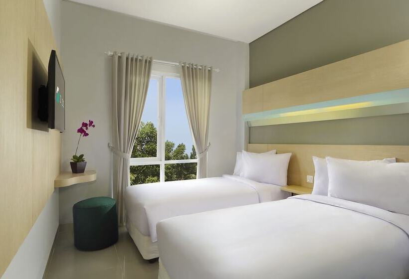 חדר קומפורט, Zizz Convention