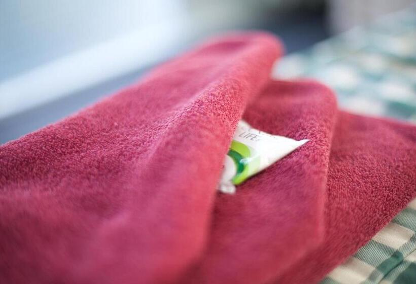 غرفة قياسية, Brisbane Manor