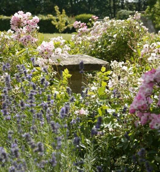 חדר סטנדרט, Overtown Manor Bed And Breakfast