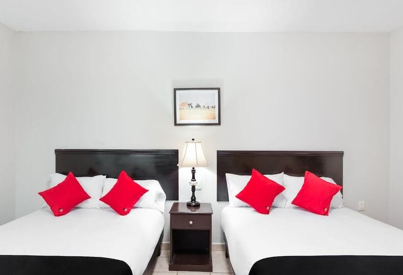 חדר סופריור, Boca Inn Hotel & Suites