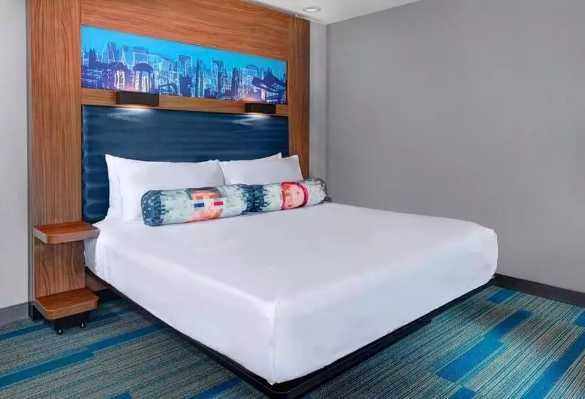 キングサイズベッドのスタンダードルーム, Aloft Raleighdurham Airport Brier Creek