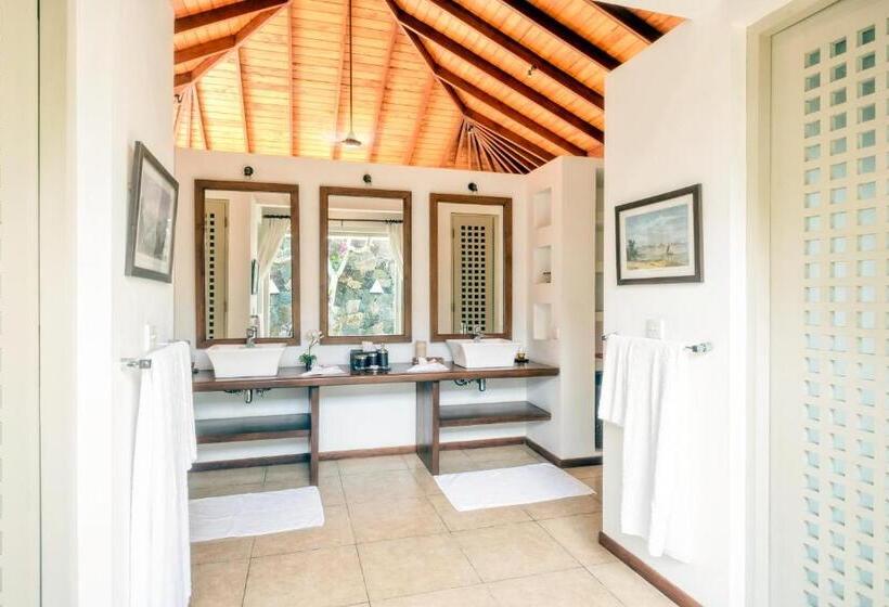 带大床的套房, Elysium