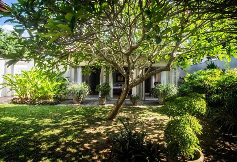 套房带园景, Elysium