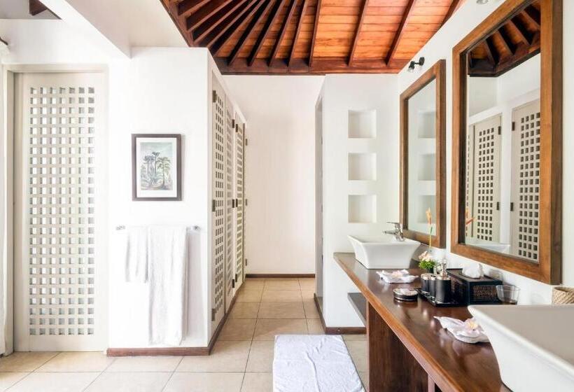 套房带园景, Elysium