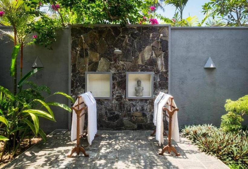 家庭套房, Elysium