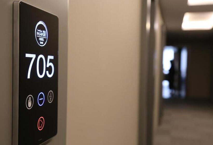 Camera Superiore, Pasaport Pier