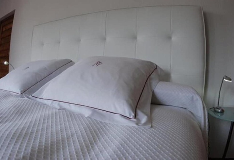 Номер Стандарт, Rec De Palau