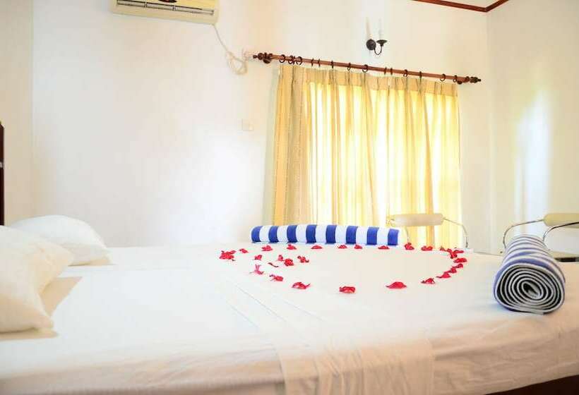 싱글 디럭스 룸, Samorich