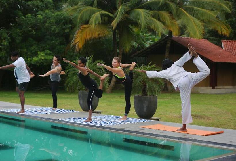 חדר סטנדרט, Villa Velmarie Yoga And Ayurveda House All Inclusive