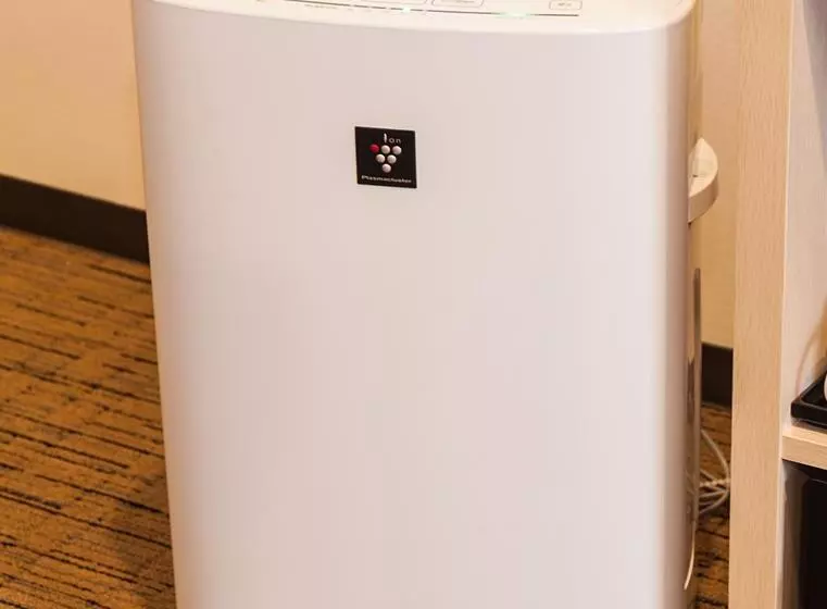 ダブルベッドのベーシックルーム, Mystays Gotanda