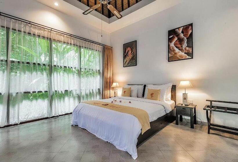 קוטג' דלוקס, Orlowsky Discovery Candidasa