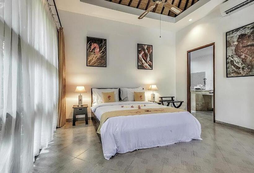 קוטג' דלוקס, Orlowsky Discovery Candidasa