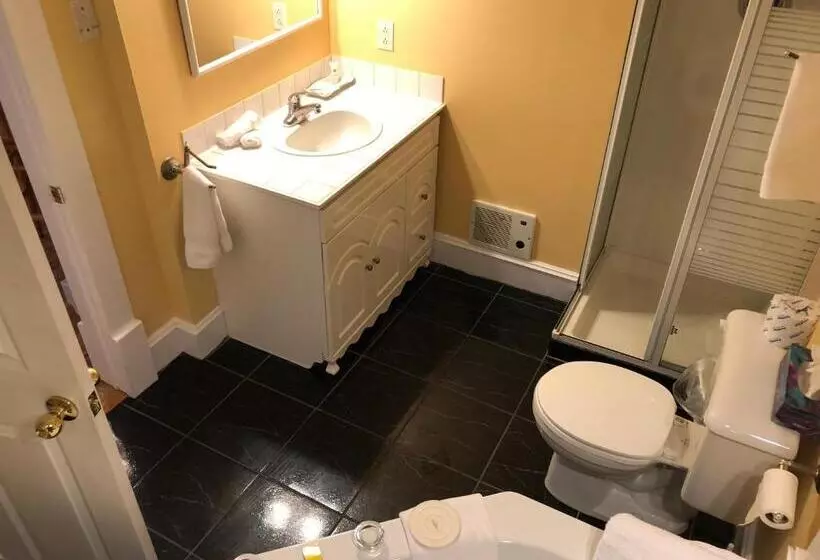 Standard-studio, Leaside Manor