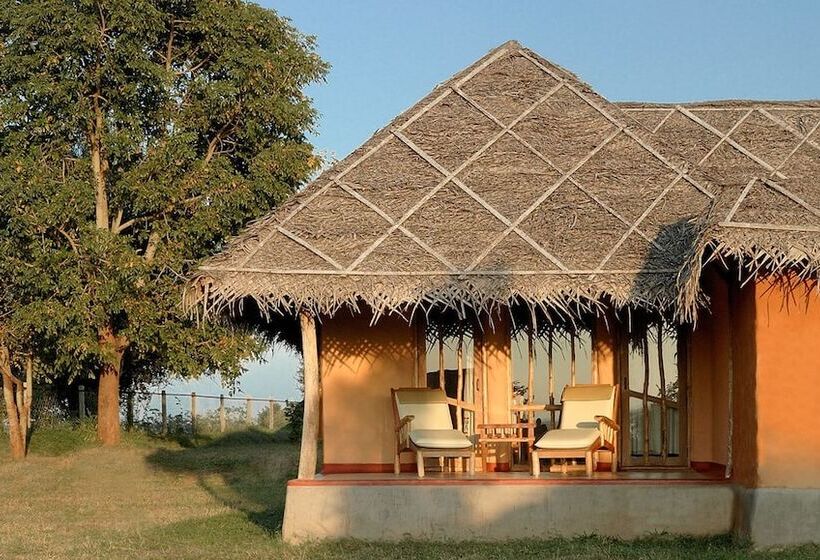 Номер Стандарт, Evolve Back  Kabini