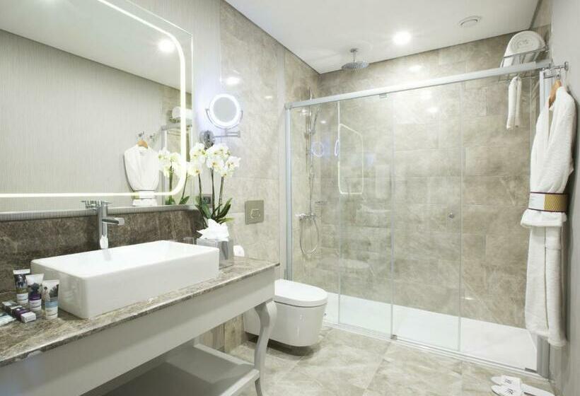 اتاق پرستیژ, Mercure Tbilisi Old Town