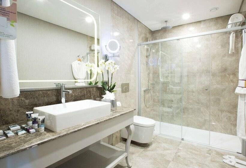 اتاق پرستیژ, Mercure Tbilisi Old Town