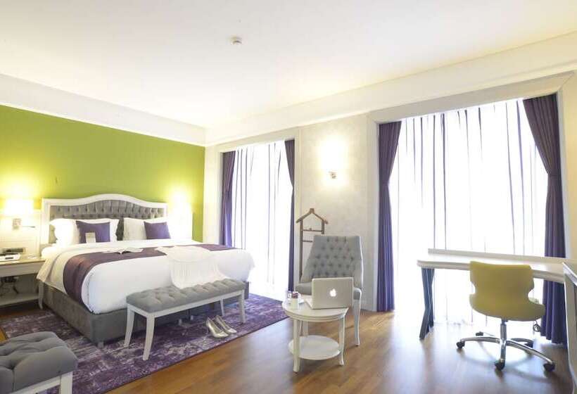 اتاق سوپریور, Mercure Tbilisi Old Town