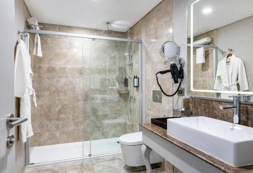 اتاق پرستیژ, Mercure Tbilisi Old Town