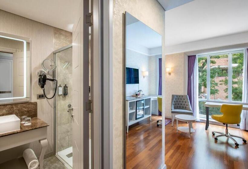 اتاق سوپریور, Mercure Tbilisi Old Town