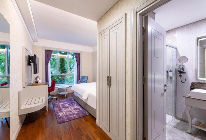 اتاق استاندارد یک نفره, Mercure Tbilisi Old Town