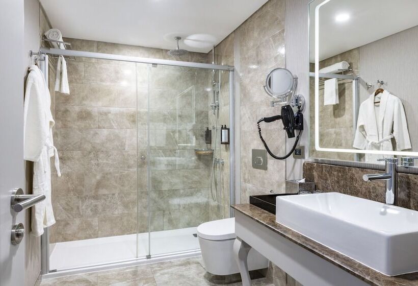 اتاق پرستیژ, Mercure Tbilisi Old Town