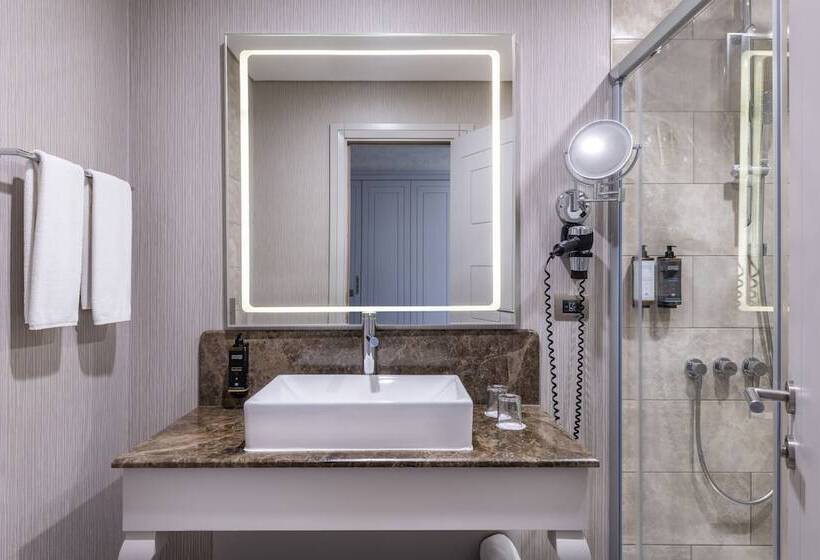 اتاق سوپریور, Mercure Tbilisi Old Town