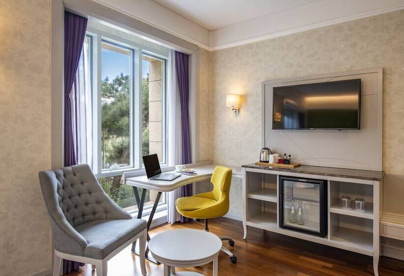 اتاق سوپریور, Mercure Tbilisi Old Town