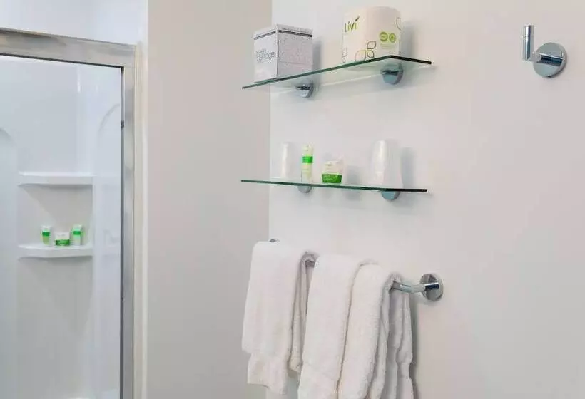 Deluxe Room with Balcony