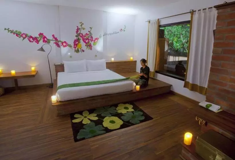 سوییت جونیور, Thanakha Inle