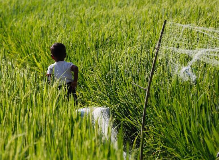 וילה בת 3 חדרי שינה, The Lombok Lodge Suites & Private Villas