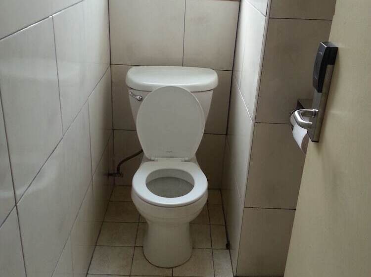 Standaardkamer met Gedeelde Badkamer, Winsor
