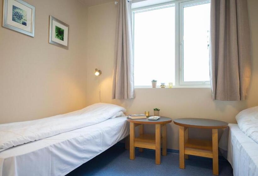 غرفة قياسية, Sjøholt Sommerhotell Bed&breakfast