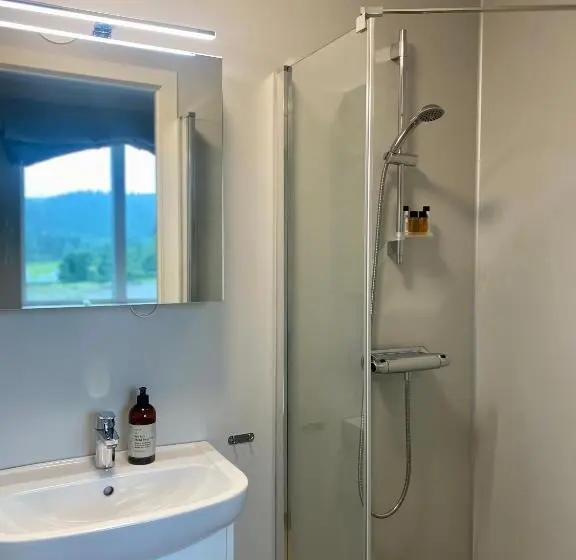 身障者適用シングルルーム, Sjøholt Sommerhotell Bed&breakfast