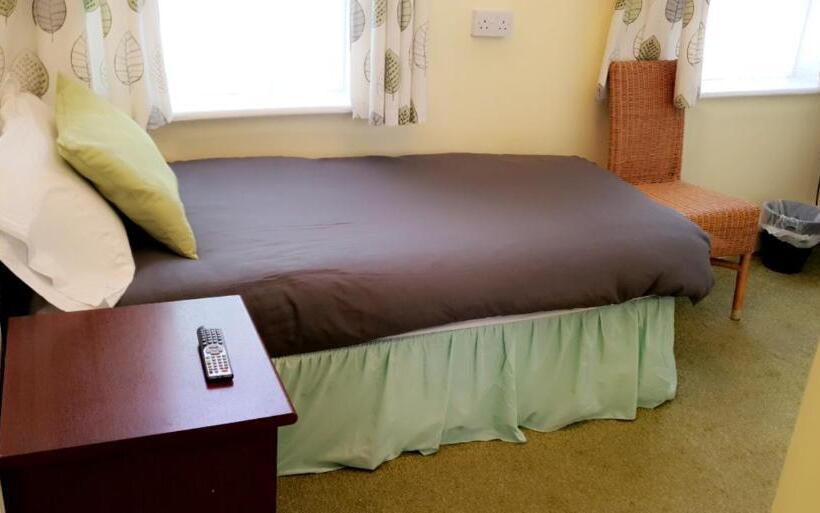 豪华单人间, Bloomfield