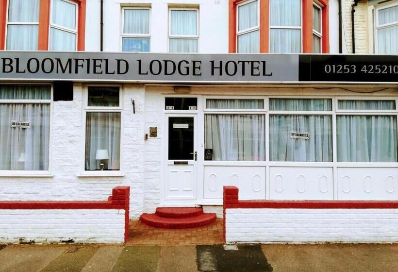 Dört Kişilik Delüks Oda, Bloomfield