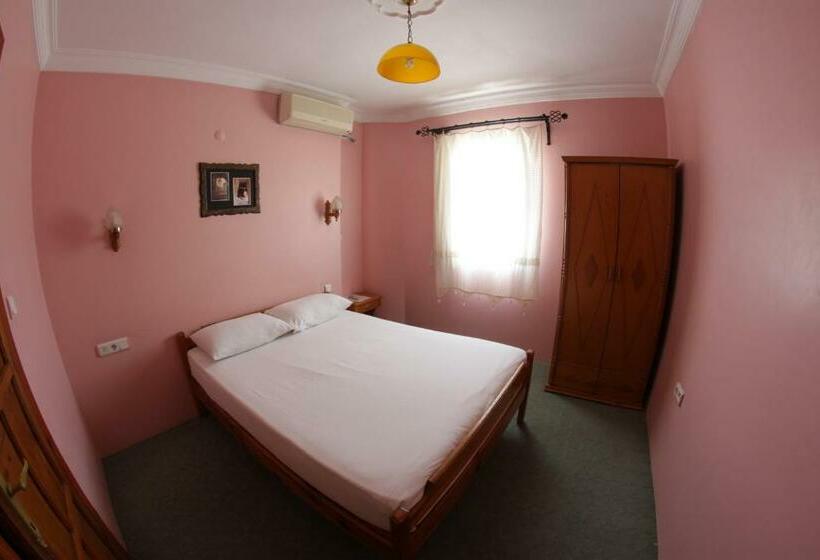 スタンダードルーム, Nazar