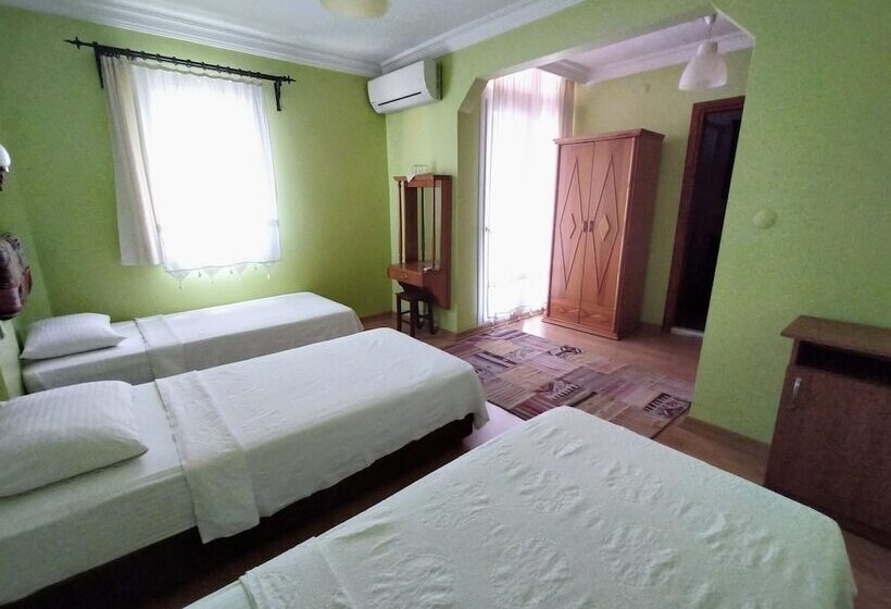 スタンダードトリプルルーム, Nazar