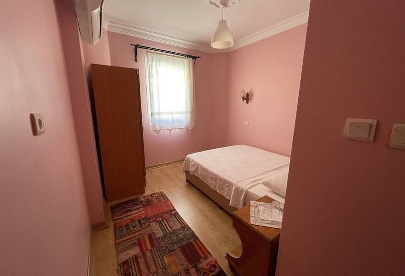 スタンダードルーム, Nazar