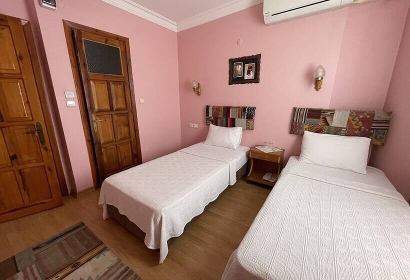 スタンダードルーム, Nazar