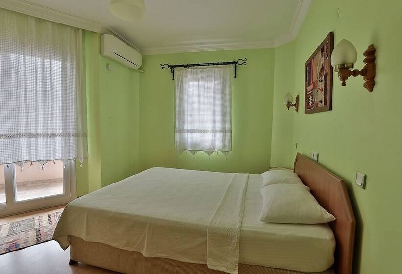 スタンダードルーム, Nazar