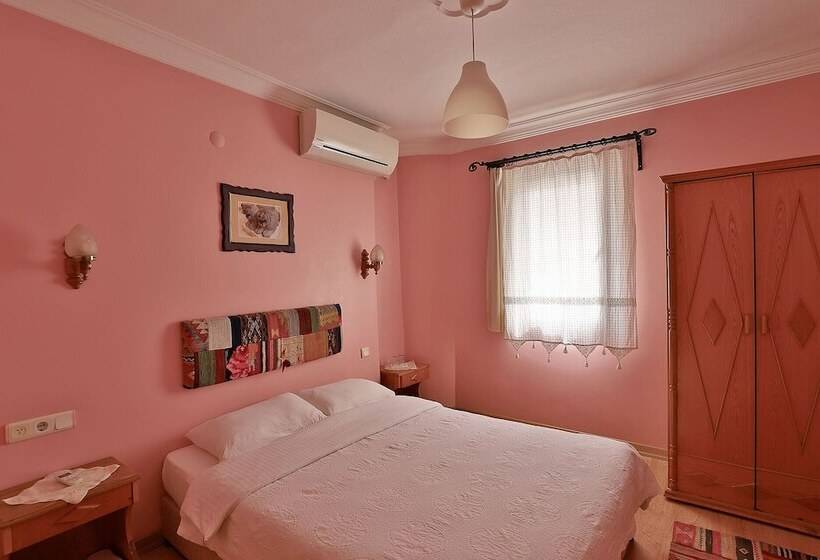 スタンダードルーム, Nazar