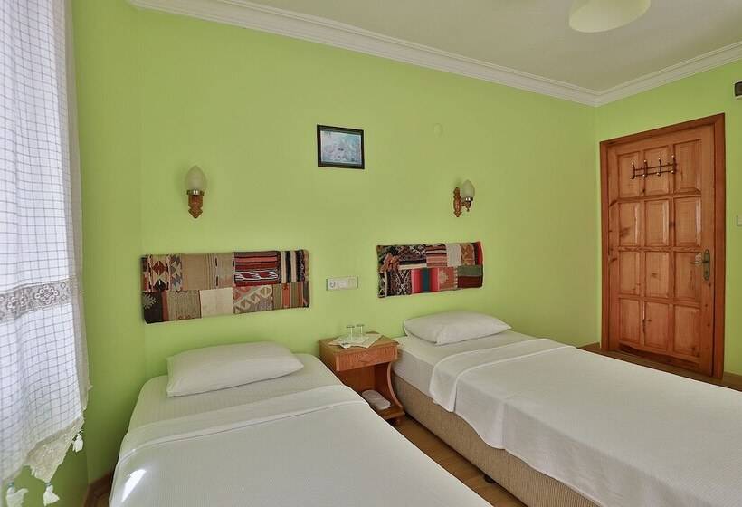 スタンダードルーム, Nazar